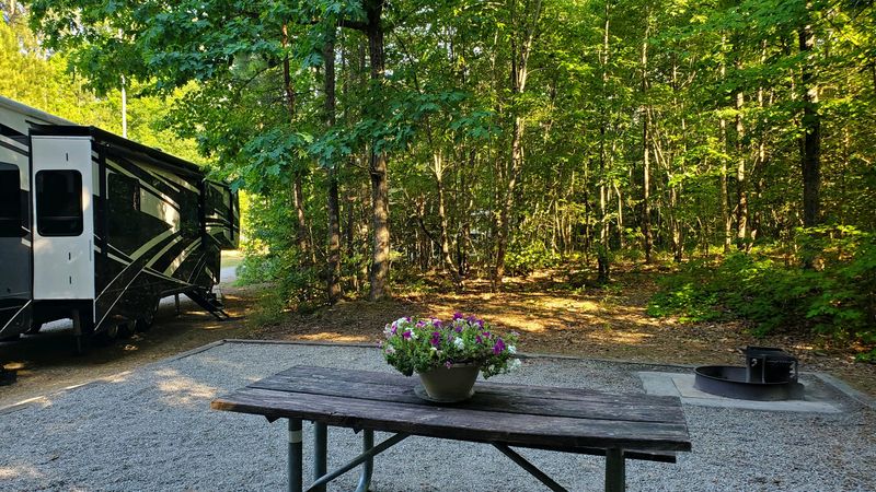 Picnic spots that reset your day