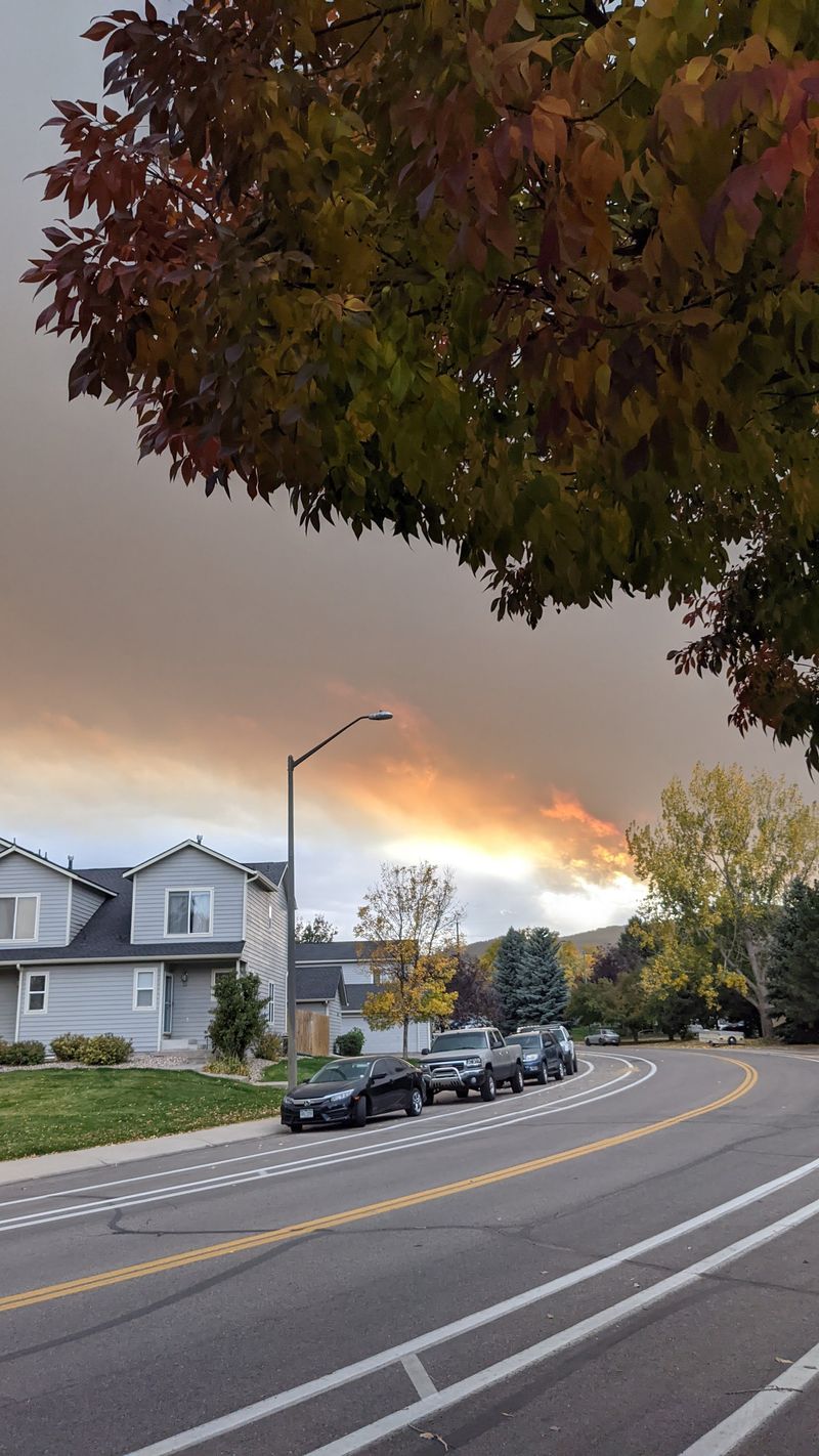 Who Fort Collins Is Perfect For