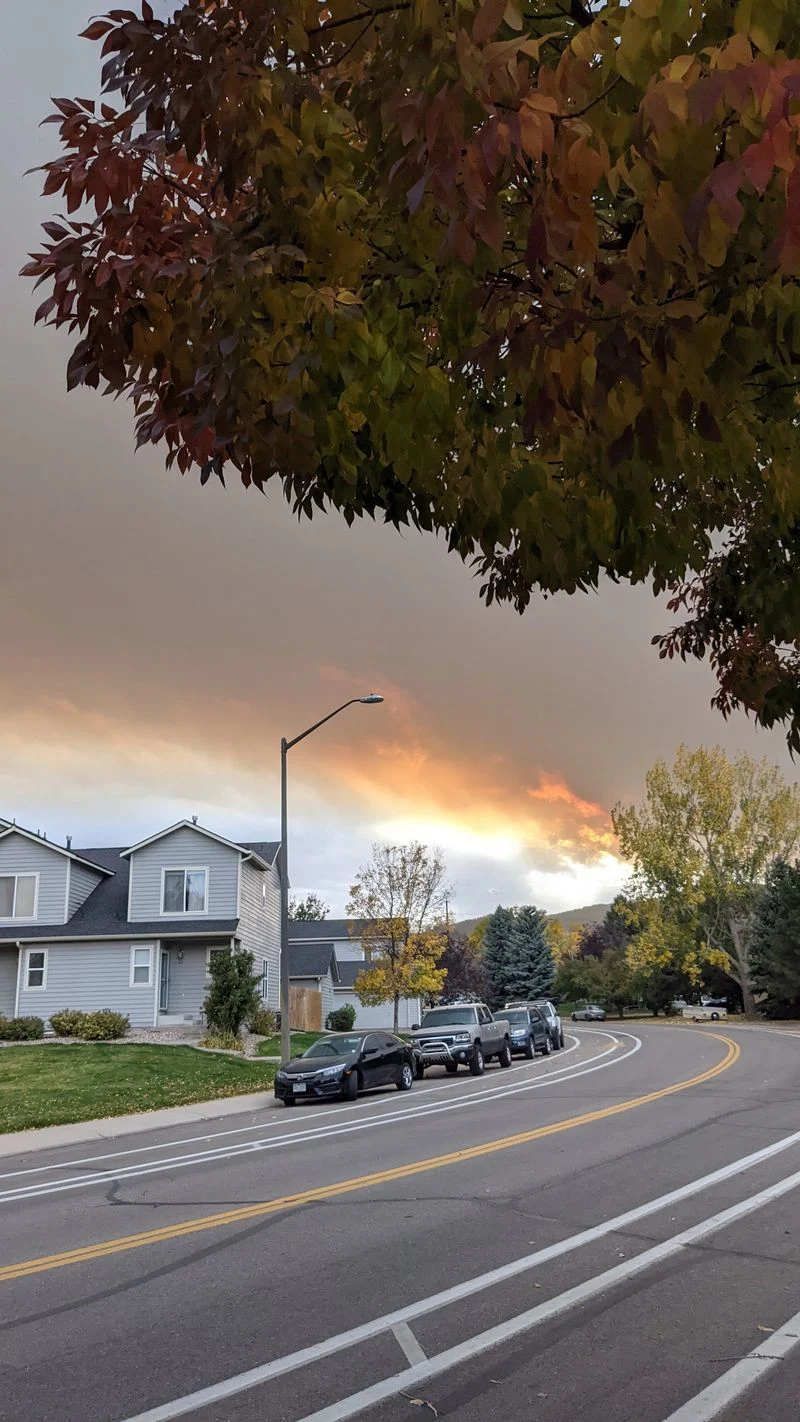 Who Fort Collins Is Perfect For