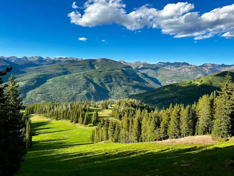 Berry Picker Trailhead