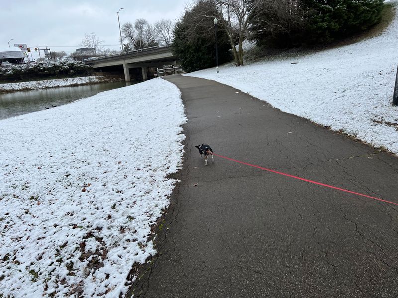 Winter Walks at Bicentennial Greenbelt Park