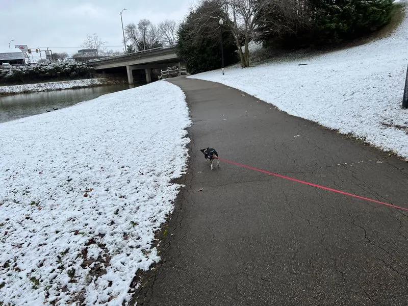 Winter Walks at Bicentennial Greenbelt Park