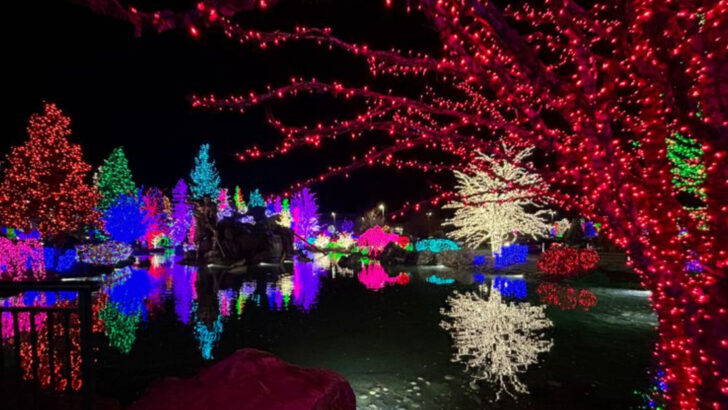 Tennessee’s foothills city near Knoxville fills December with light displays, cozy parks, and easy drives to winter-friendly mountain scenery