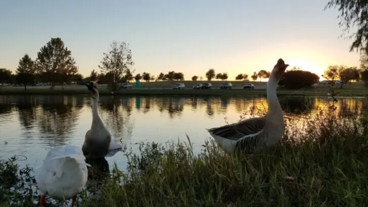 Texas’s energetic city near Austin mixes live music, craft breweries, and parks with lakes that stay busy year-round
