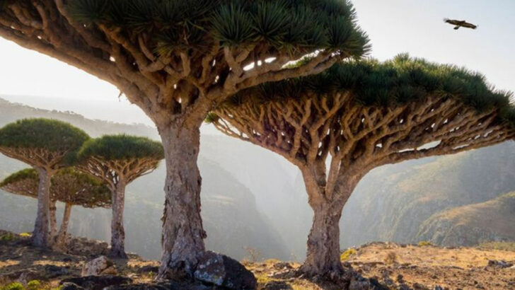 The 14 hardest-to-reach places around the world that people still live in