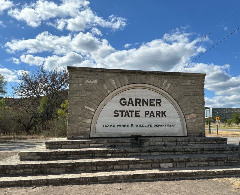 Essential Winter Overview: Why Garner Shines in the Off-Season