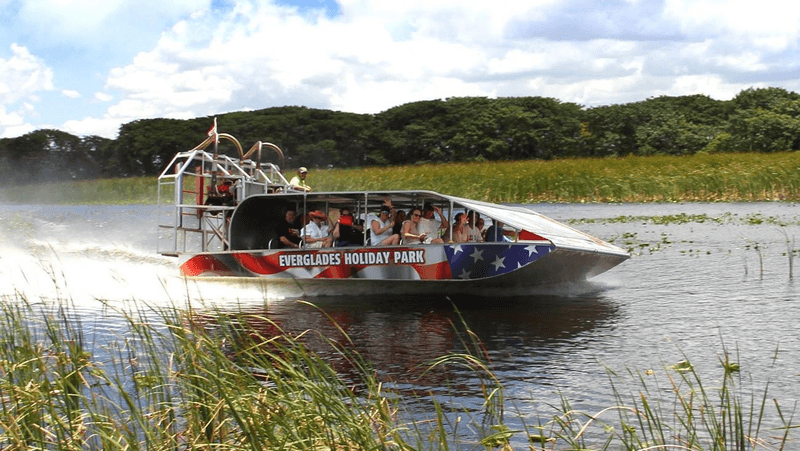 Enchanting Everglades National Park