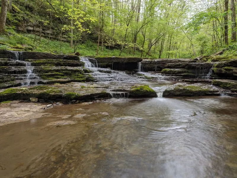 Raven Run Nature Sanctuary-Lexington, KY