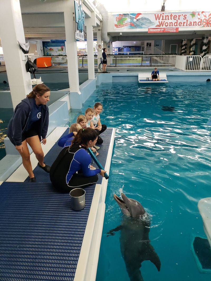 The Clearwater Marine Aquarium