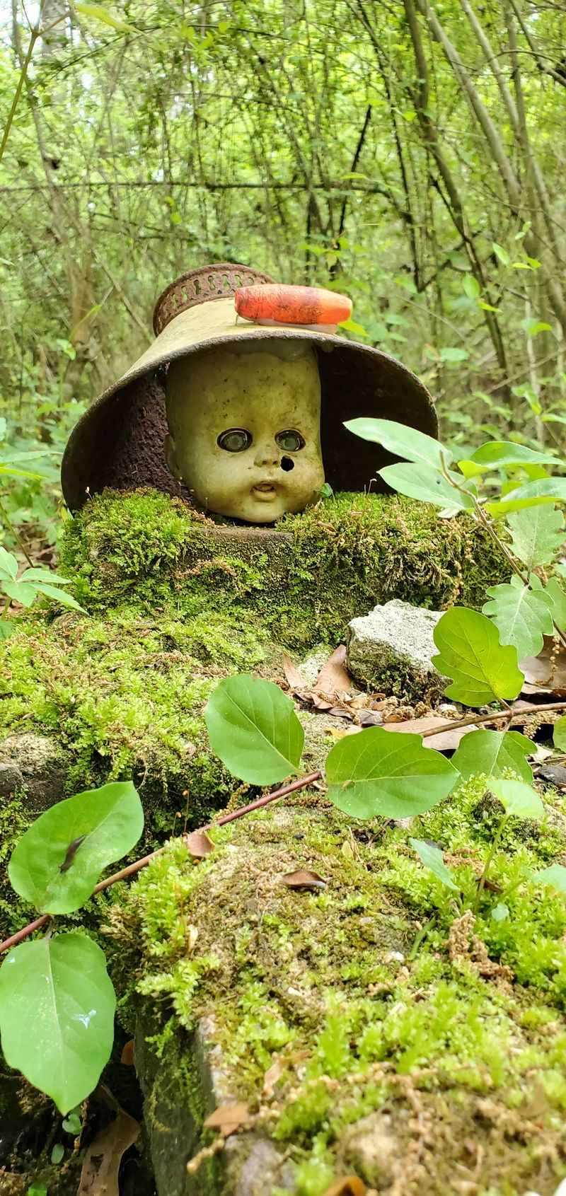 Doll's Head Trail