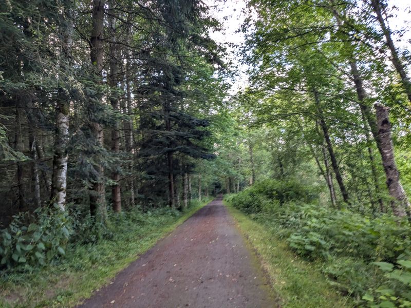 Port Townsend Waterfront Kickoff