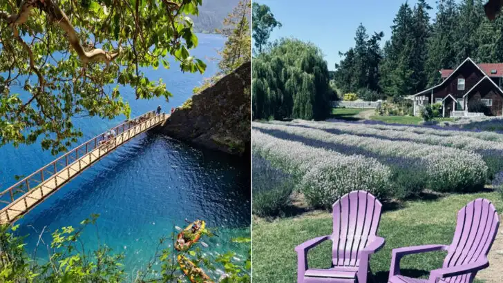 The Great American Rail Trail gives cyclists and walkers over 2,000 miles of car-free pathways