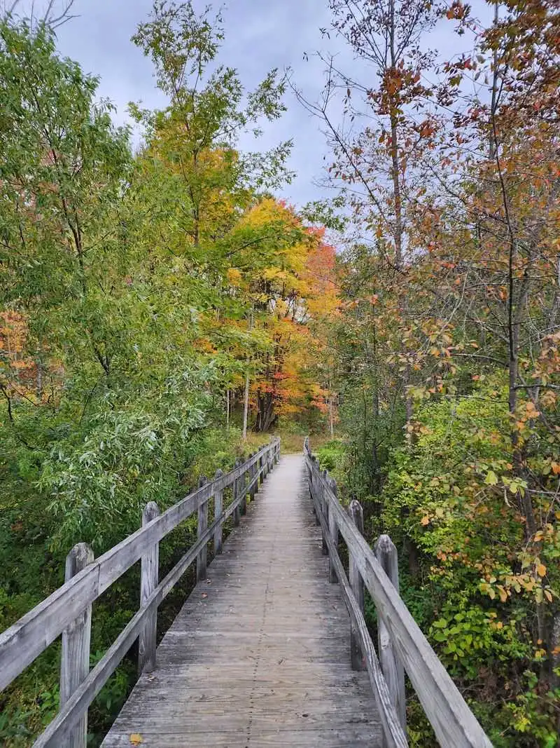 Cornell University's Sapsucker Woods