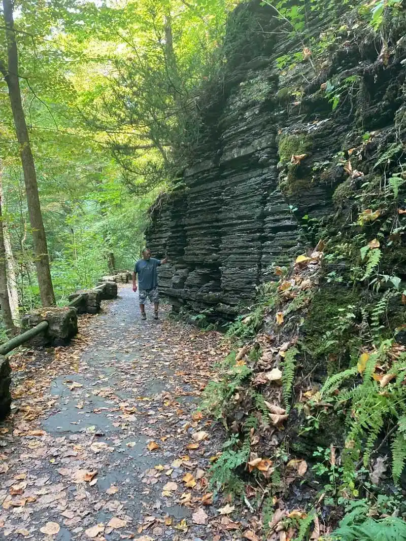 The Meadow of Wildflowers