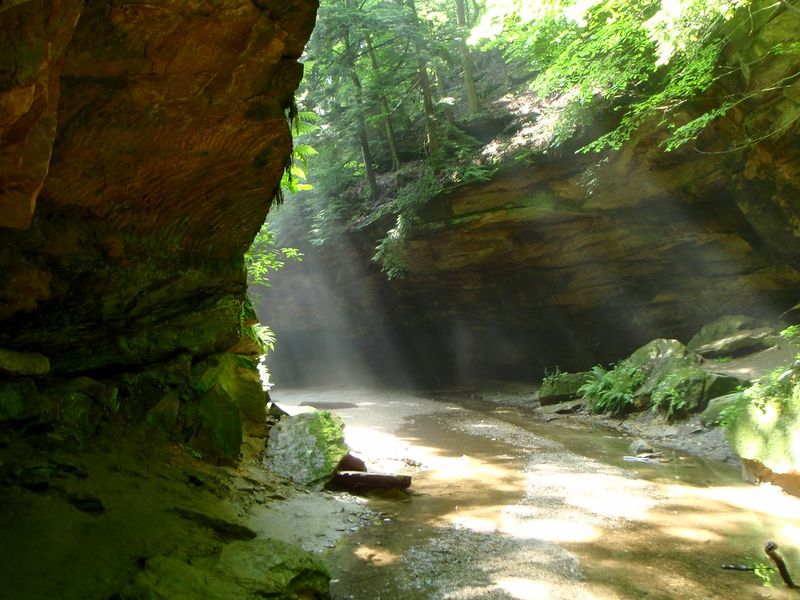 Overview of Turkey Run State Park