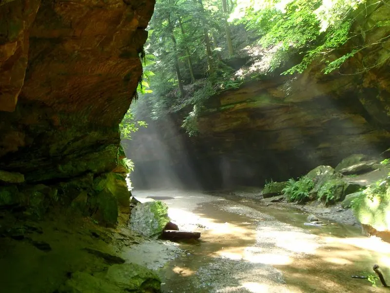 Overview of Turkey Run State Park