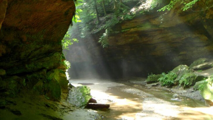 The Indiana State Park Where Gentle Trails and Modest Costs Make Planning Simple