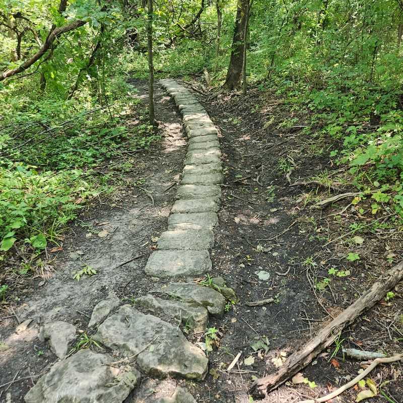 Location and Accessibility