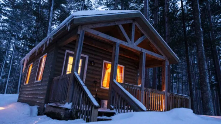 The Michigan state park where winter scenery, quiet forests, and an affordable escape come together