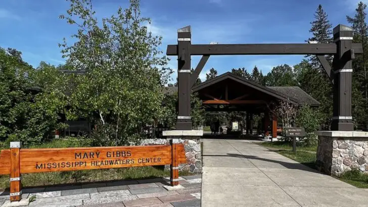 The Minnesota State Park Where Calm Lakes, Easy Trails, and a Budget-Friendly Entry Make for a Perfect Day Out