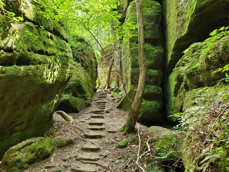 Dismals Canyon