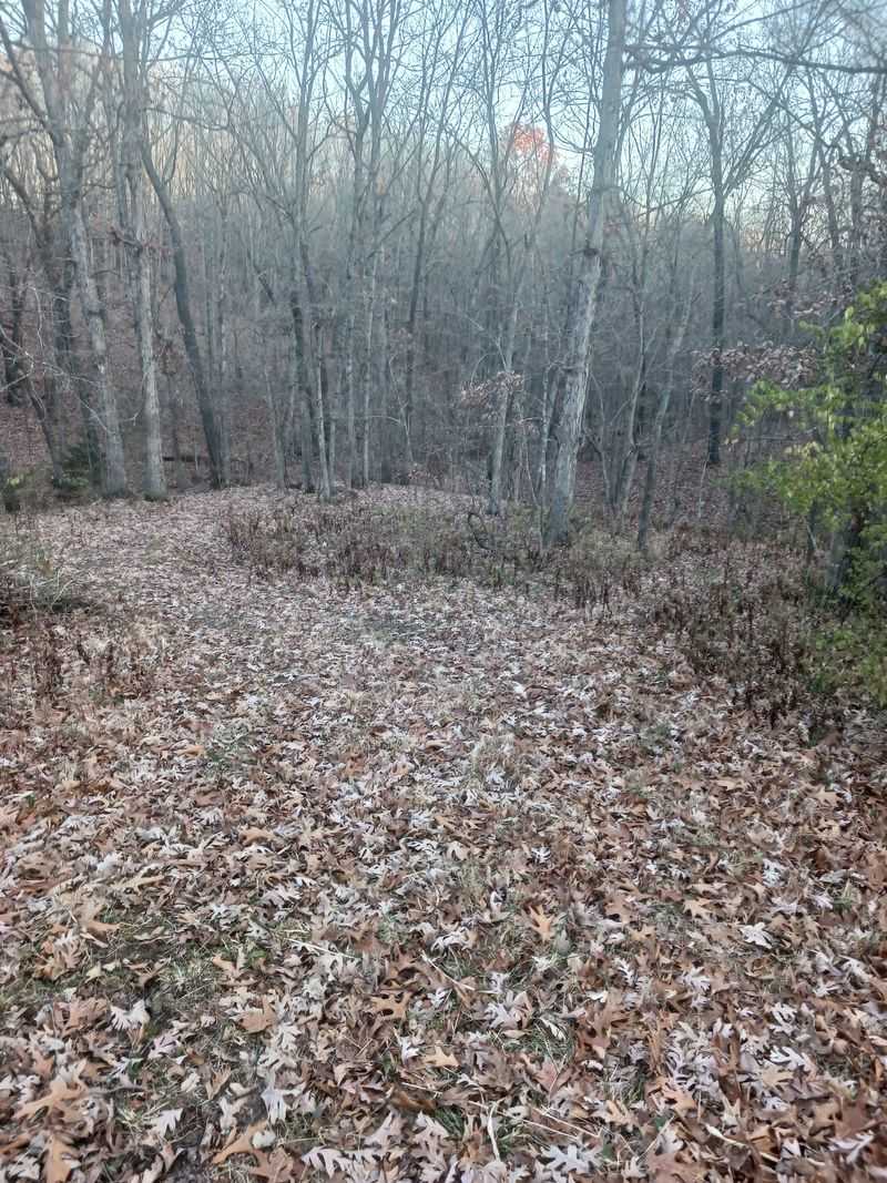 Trails That Invite Exploration