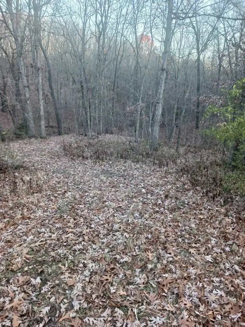 Trails That Invite Exploration