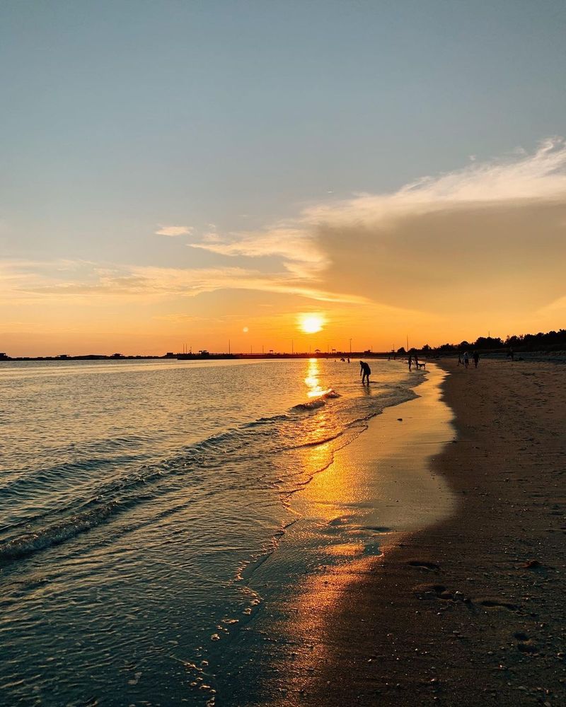 Kiptopeke State Park Day Trip