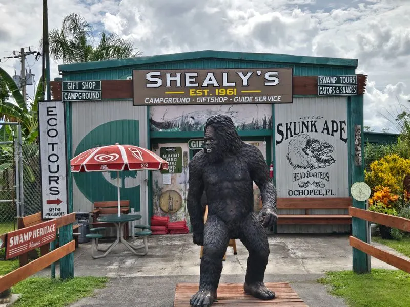 Skunk Ape Research Headquarters