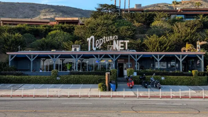 The best fish and chips in California are found at this low-key seaside stand &ndash; Neptune&rsquo;s Net (Malibu, CA)