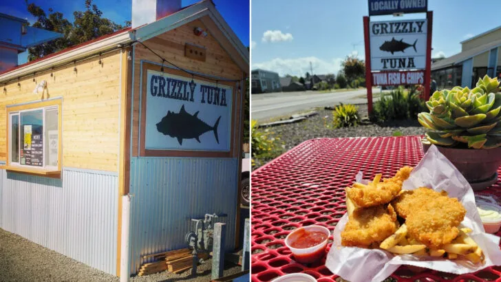 The best tuna sandwich in Oregon is coming out of a low-key roadside grill most travelers overlook