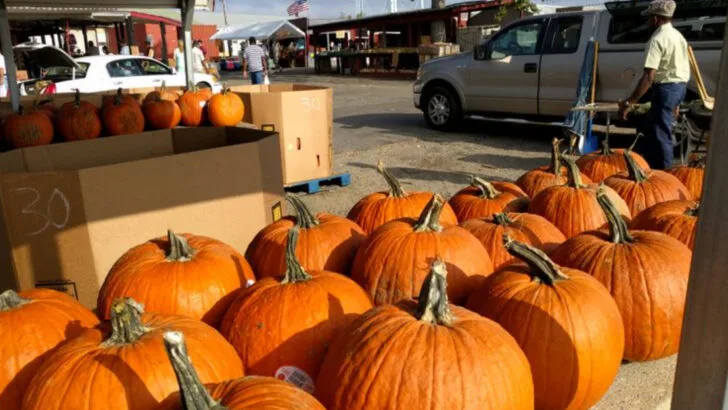 The big South Carolina flea market that locals say is packed with real deals