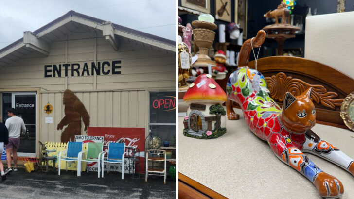 The huge Arkansas flea market that collectors and deal seekers make repeat trips to