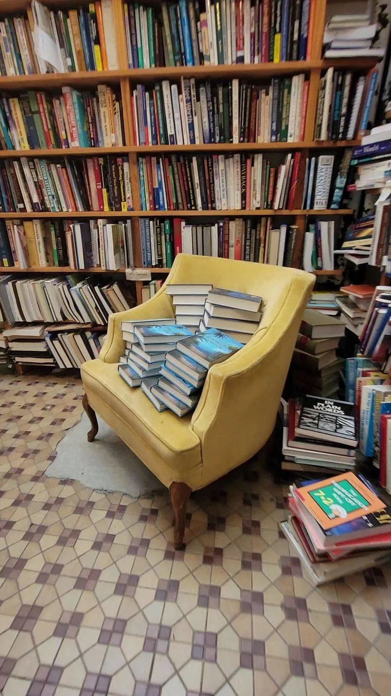 Rare finds, first editions, and collectible surprises