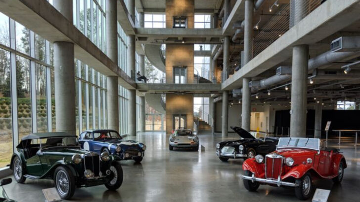 The popular car museum in Alabama where families and car fans spend hours exploring