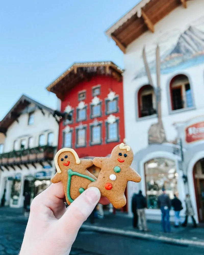 Signature Gingerbread Cookies