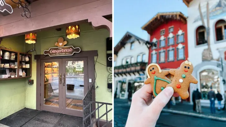 The quiet bakery in Washington turning out pastries that have built a loyal following