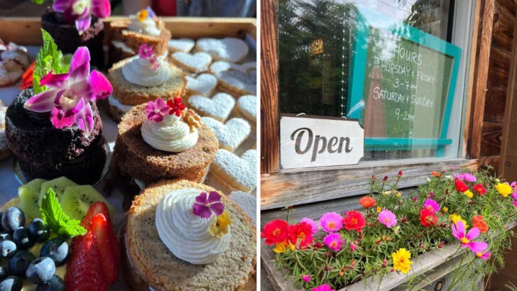 The simple Vermont bakery that feels worth waking up early for