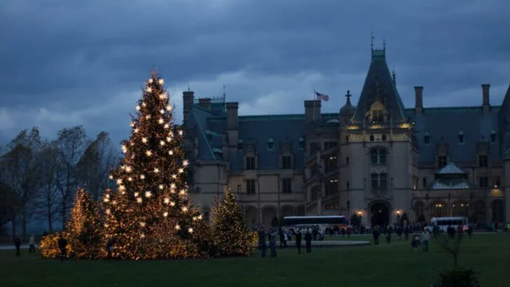 The top Christmas trees across the U.S. that draw crowds every holiday season