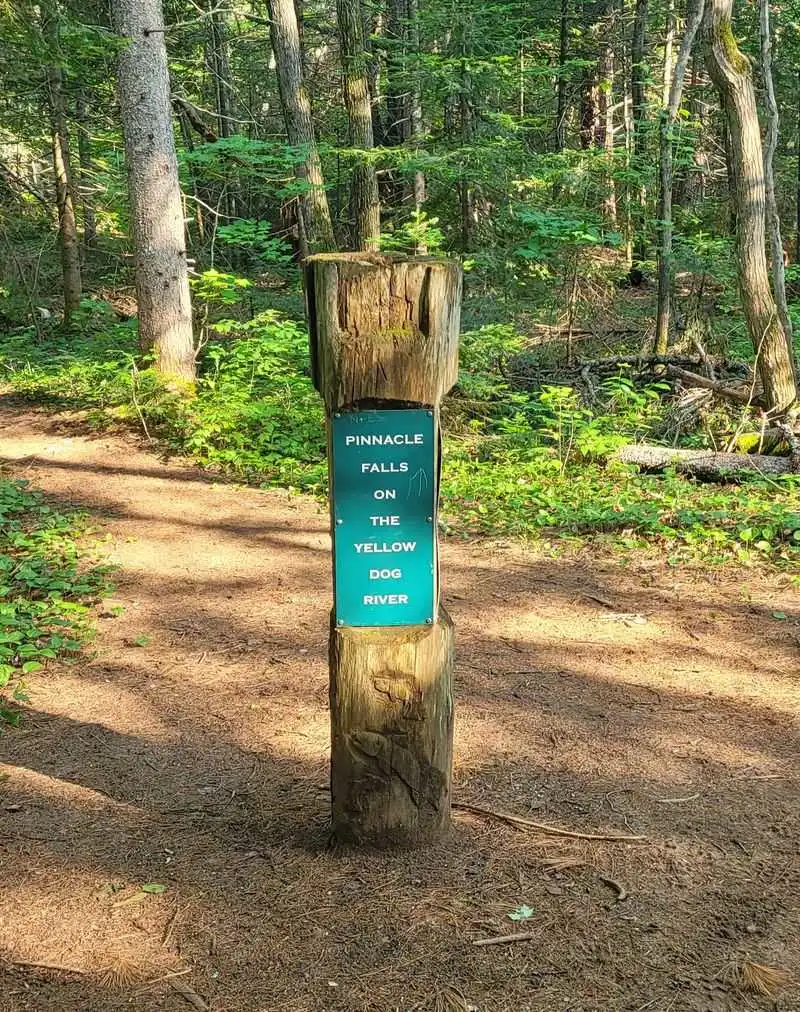 Trailhead Essentials and First Impressions