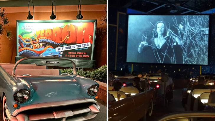 This ’50s-style diner in Florida lets you eat in car-shaped booths while retro movies play
