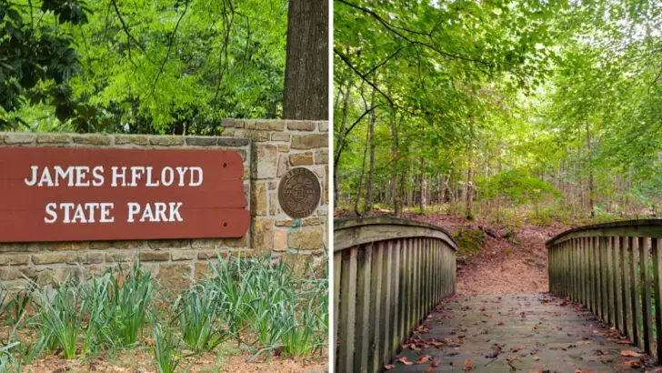 This 561-acre Georgia state park quietly offers one of the state’s most peaceful escapes