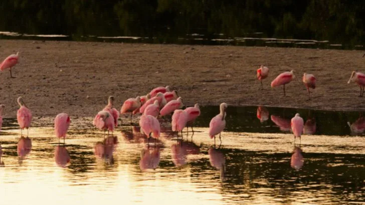 This Florida city has quietly become a year-round favorite for relaxed getaways