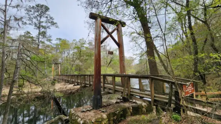 This Florida state park near High Springs offers a side of nature many people miss