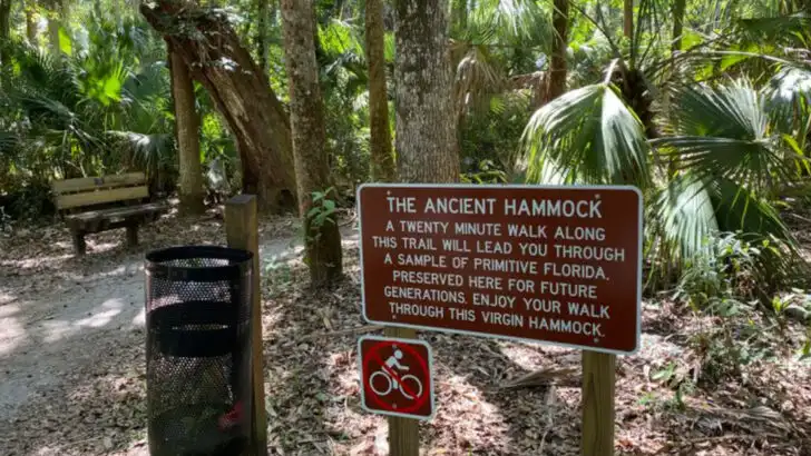 This easy-to-miss state park in Florida gives travelers a breather from busy attractions