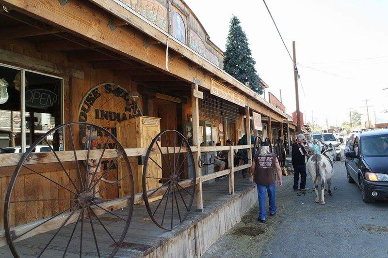 The Burros of Oatman