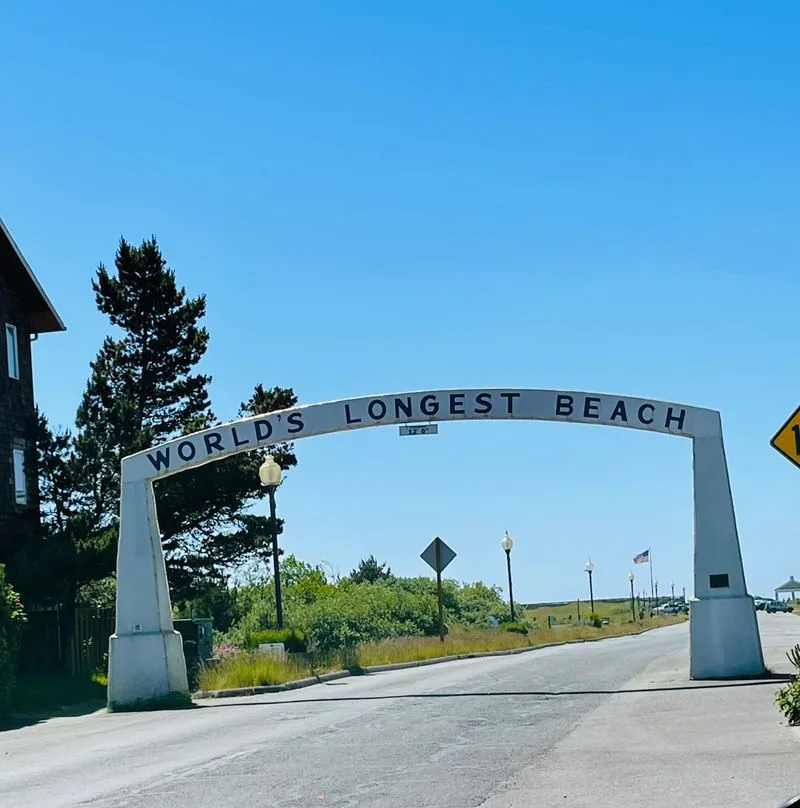 Overview: Where Rain Forest Meets Sand