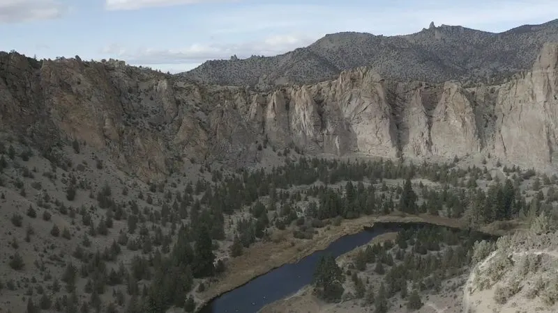 A High Desert Landscape, Not Lush Forests