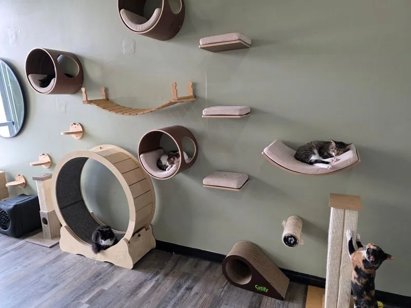 What to Expect on Your First Visit