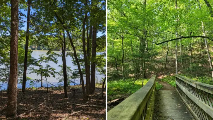 This low-key state park in Georgia offers a calmer experience than most travelers expect